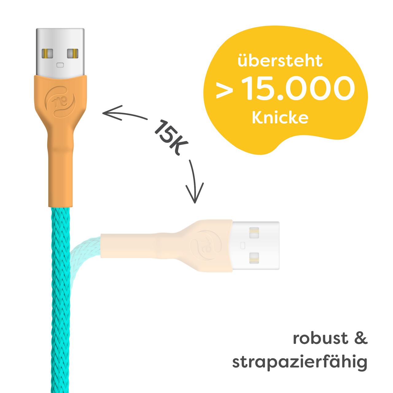 recable strapazierfähiges Ladekabel robust